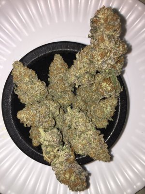 Let's See Your Frostiest Flowers