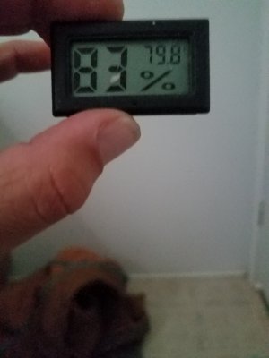 15855157939788171598476715139921.jpg