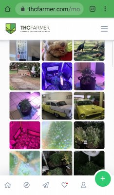 Screenshot_20200329-140736_Chrome.jpg
