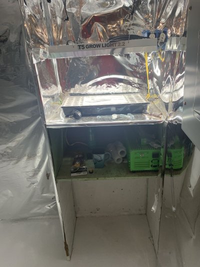 My grow setup