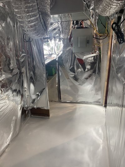 My grow setup