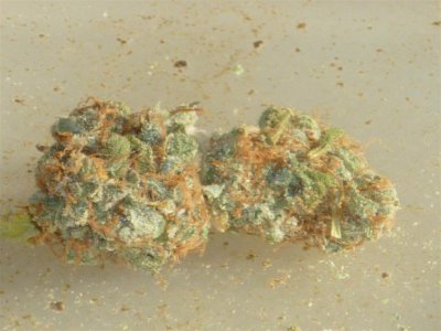 Green Kush and Astroboy (2) (Large).jpg