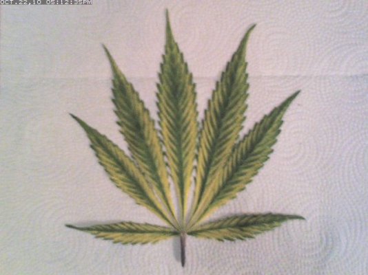SnapshotJPEG.10102205.jpg
