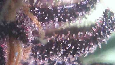 20200408_120106688.jpg