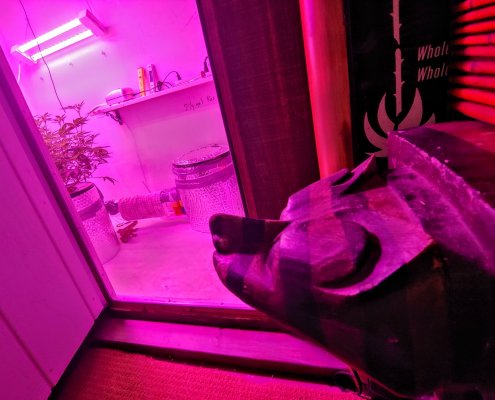 DWC grow room layout