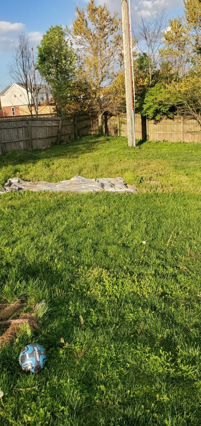 do-you-think-i-can-grow-amongst-these-weeds-to-blend-in-5.jpg