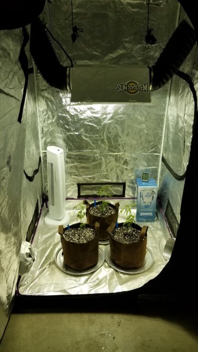 first-grow--4x4-1000w-mhhps.jpg