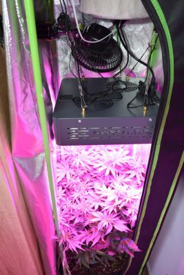 Mars-Hydro 420 giveaway! Everyone have fun!