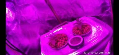 2019-10-22.jpg
