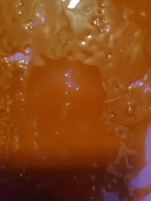 Best for BHO, frozen fresh flower, or dried/cured?