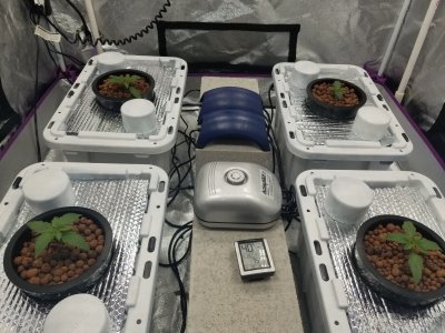 15876580805124810972775577852343.jpg