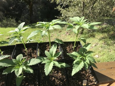 Outdoor Adventure in California 2020