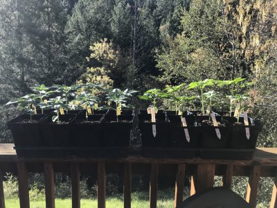 Outdoor Adventure in California 2020