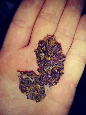 What you smokin tonight???
