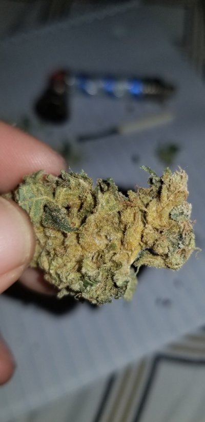 buds-brownishrusty-no-signs-of-mold-whatsoever-under-a-microscope-just-the-discoloration-3.jpg