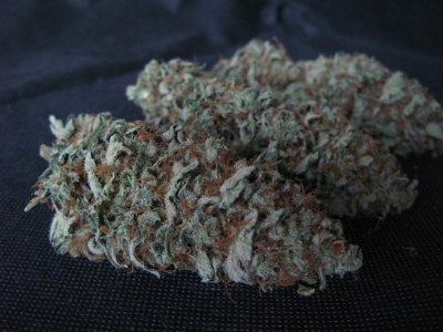 AK11noflash2 .1.JPG