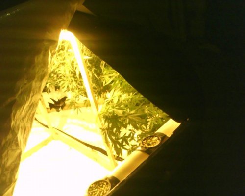 IMG00250.JPG