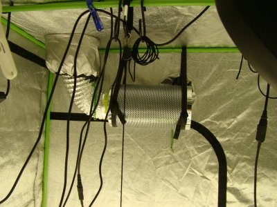 20200504_7.JPG
