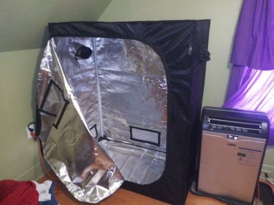 new-tent-came-in-2.jpg