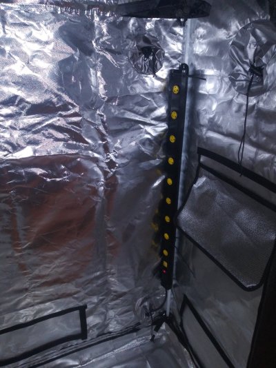 new-tent-came-in-3.jpg