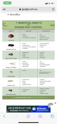 Identification charts
