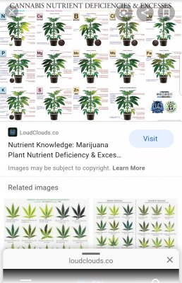Screenshot_20200515-065701_Chrome.jpg