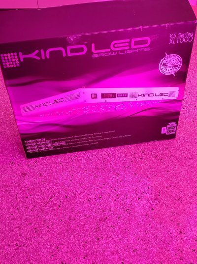 4000-watt-kind-led-grow-room.jpg