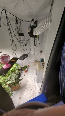 20200522_201305.jpg