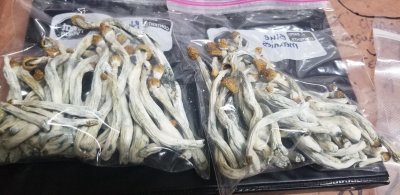 Mushroom thread