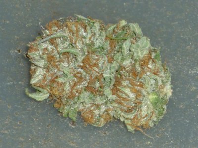 Special K closer (Large).jpg