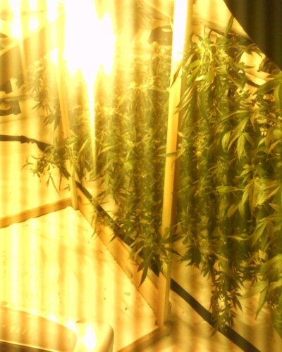 IMG00265.JPG