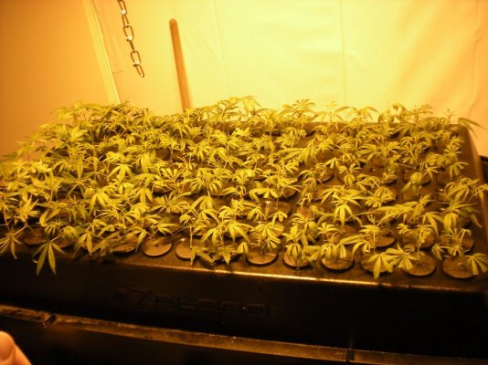 11.2.10 004.jpg