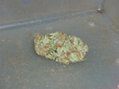 Special K (Large).jpg