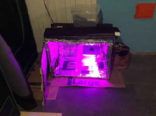 basement-lab.jpeg