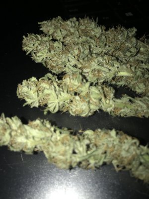 Is this a good harvest and cure? First timer here
