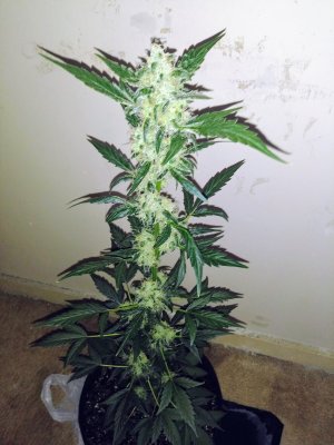 20200527_105153.jpg