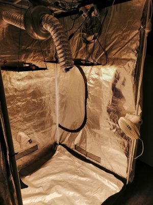 cleaned (2).jpg