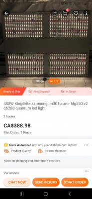 Kingbrite review