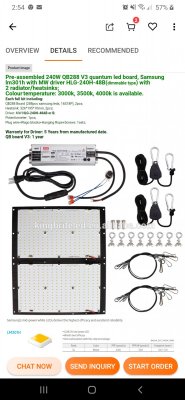 Kingbrite review