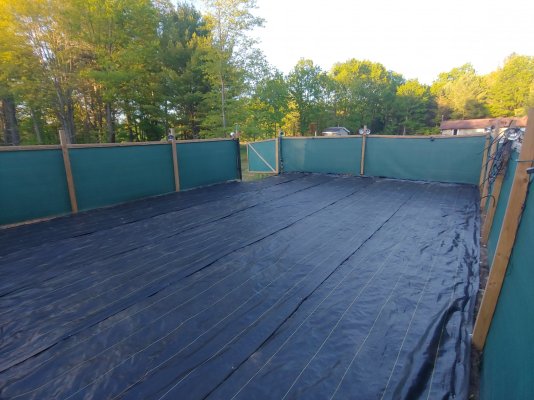 thestickygarden-2020-outdoor.jpg