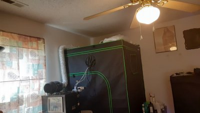 20200608_113911.jpg