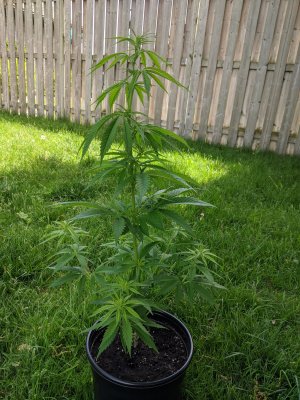 Transitioning from indoor to outdoor!