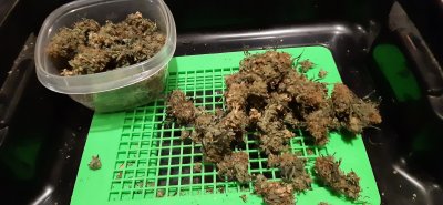 Let's See Your Frostiest Flowers