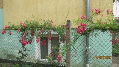 IMG_5835.JPG