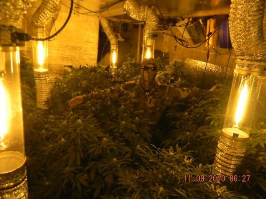 eastcoastmics-garden.jpg