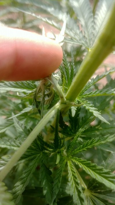Cant seem to identify the problem