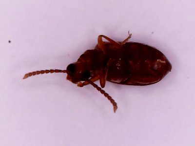S20200622_004.jpg