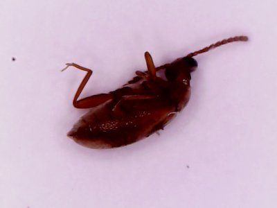 S20200622_002.jpg