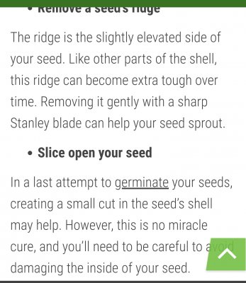 Screenshot_20200622-212611_Chrome.jpg