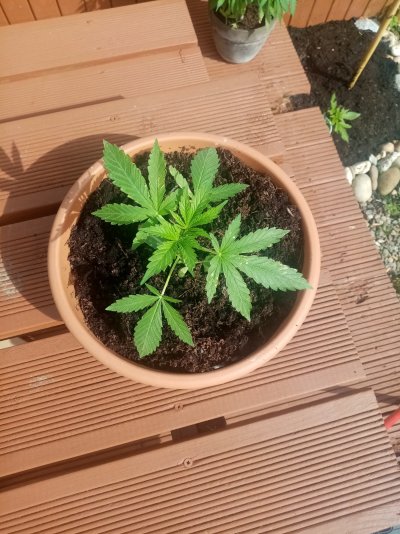 Help!